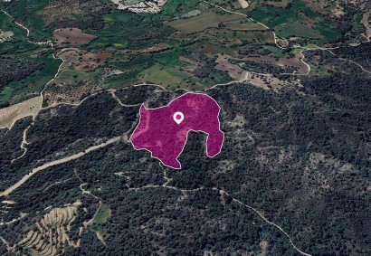 Lysos, Paphos Agricultural Land For Sale | DT1248
