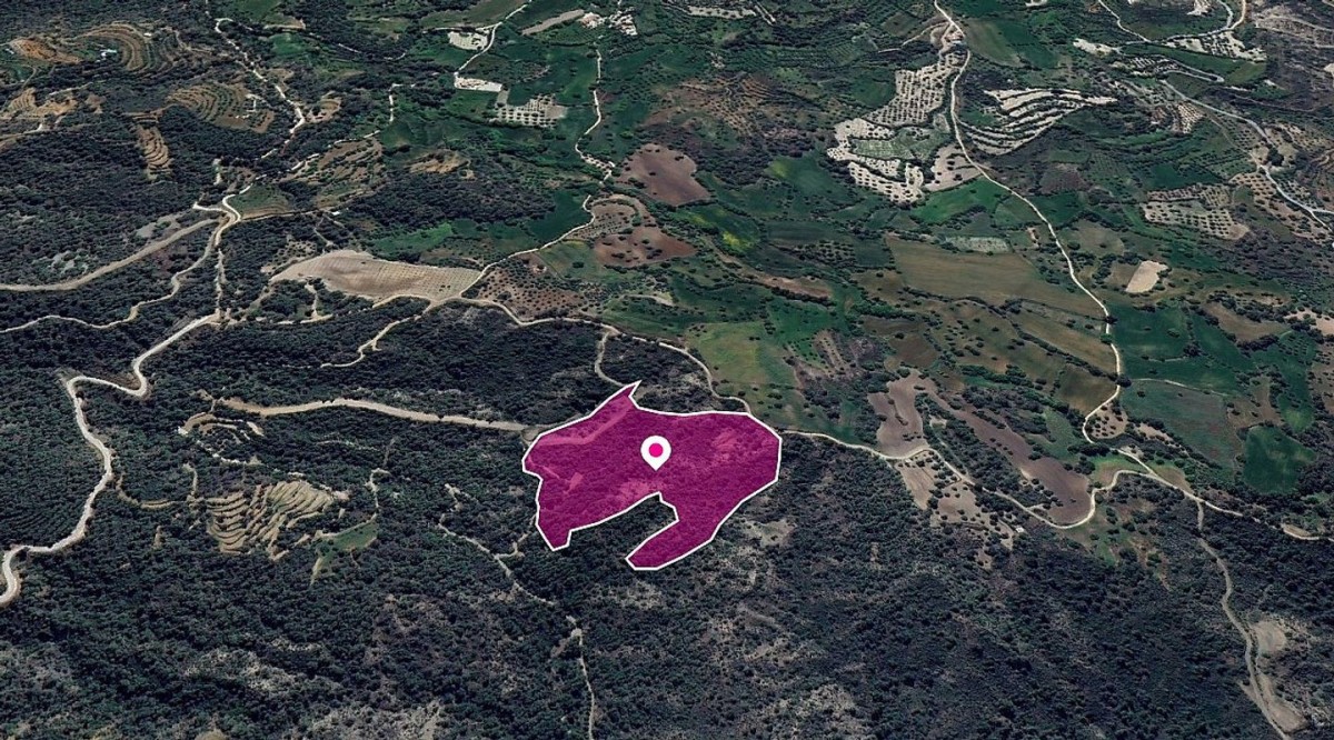 (Share) Agricultural Field, Lysos, Paphos