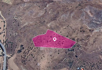 Choletria, Paphos Agricultural Land For Sale | DT1253
