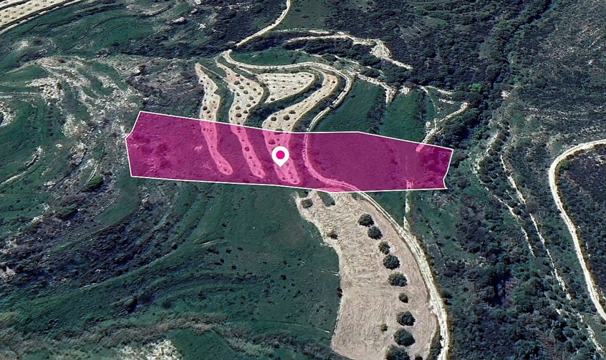 Animal Breeding Zoned Field in Stroumpi, Paphos