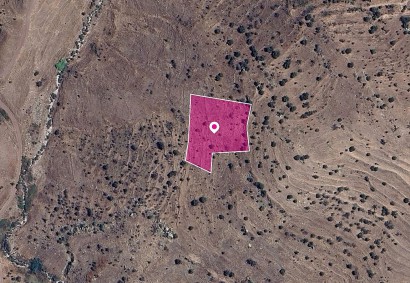 Statos-Agios Fotios Agricultural Land For Sale | DT1259