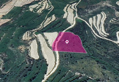 Koili, Paphos Agricultural Land For Sale | DT1260