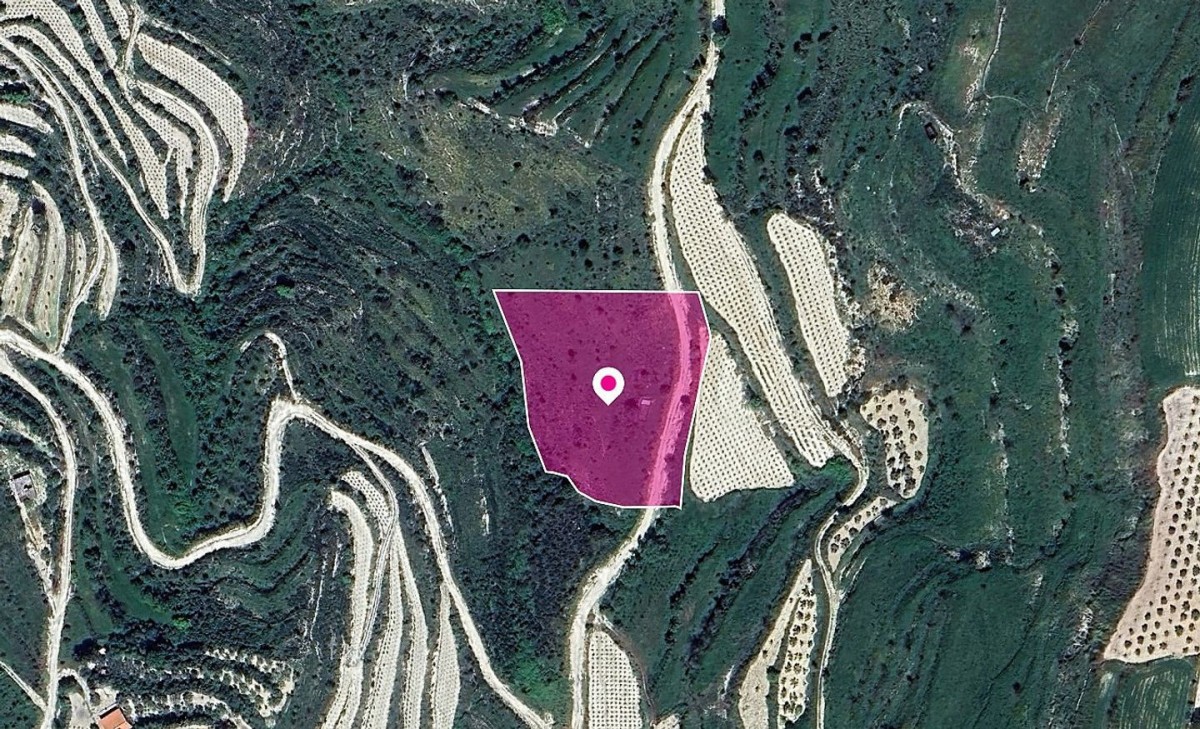 Field, Koili, Paphos