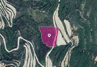Koili, Paphos Agricultural Land For Sale | DT1260