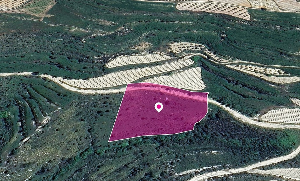 Field, Koili, Paphos