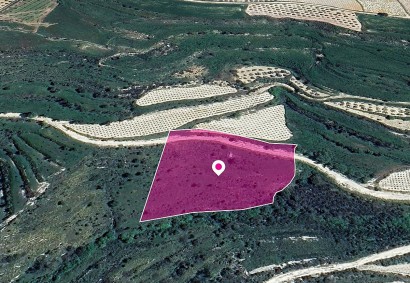 Koili, Paphos Agricultural Land For Sale | DT1260