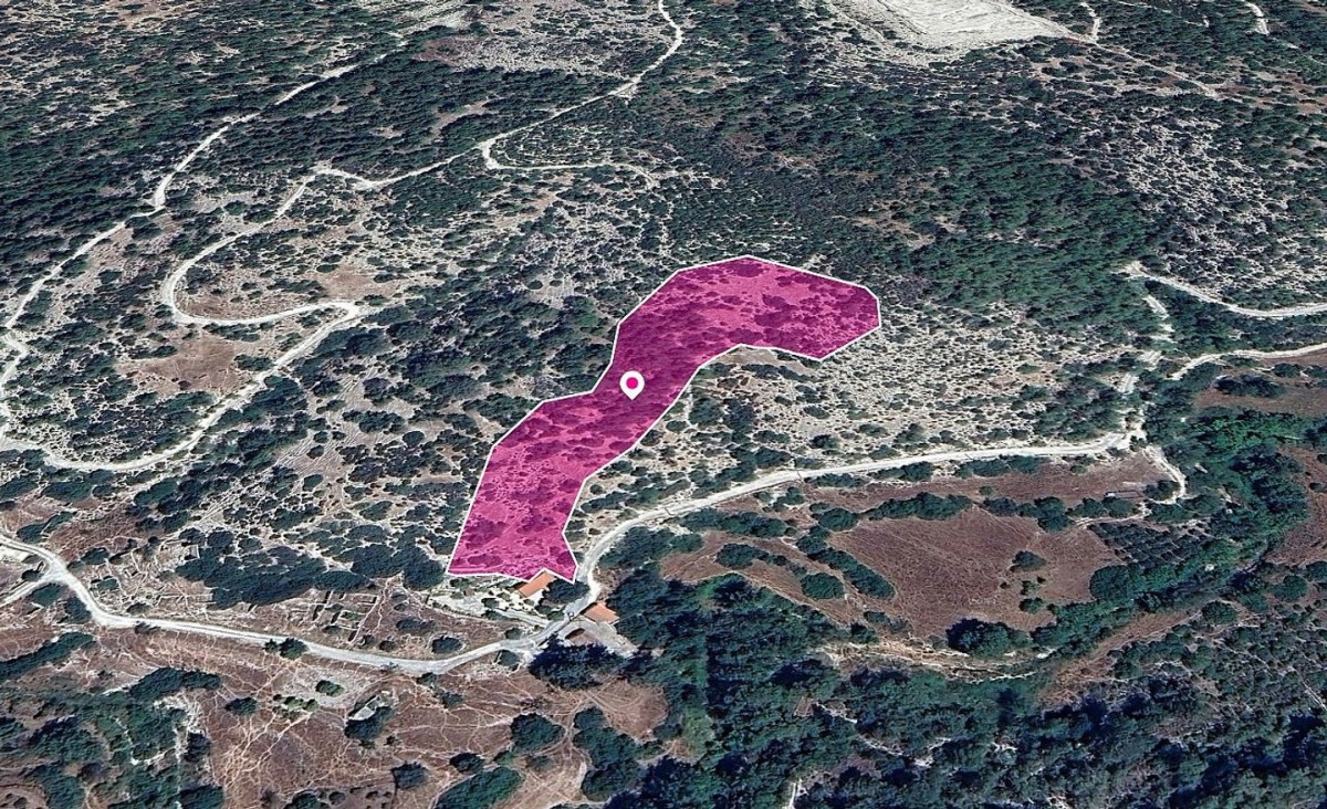 Archimandrita, Paphos Agricultural Land For Sale | DT1261