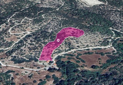 Archimandrita, Paphos Agricultural Land For Sale | DT1261