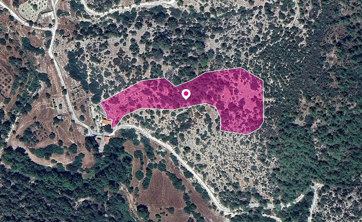 Special Protection Zoned Field in Pano Archimandrita, Paphos.
