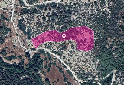 Archimandrita, Paphos Agricultural Land For Sale | DT1261