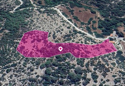 Archimandrita, Paphos Agricultural Land For Sale | DT1261