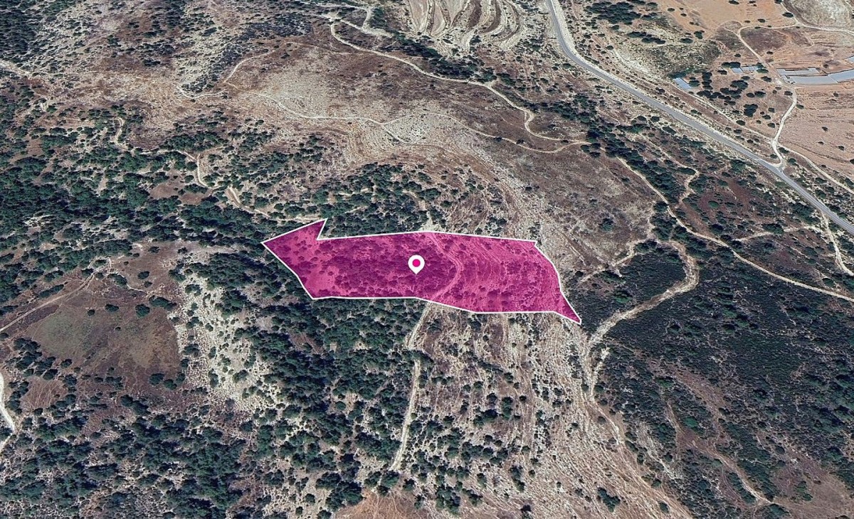 Archimandrita, Paphos Agricultural Land For Sale | DT1262