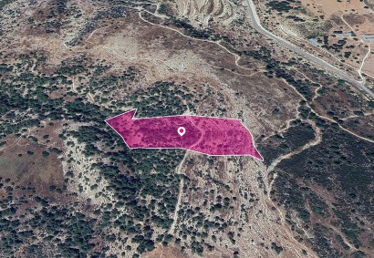 Archimandrita, Paphos Agricultural Land For Sale | DT1262