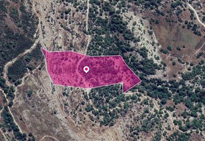 Archimandrita, Paphos Agricultural Land For Sale | DT1262