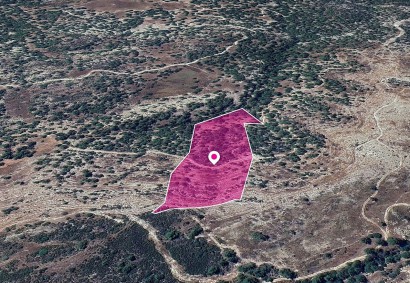 Archimandrita, Paphos Agricultural Land For Sale | DT1262