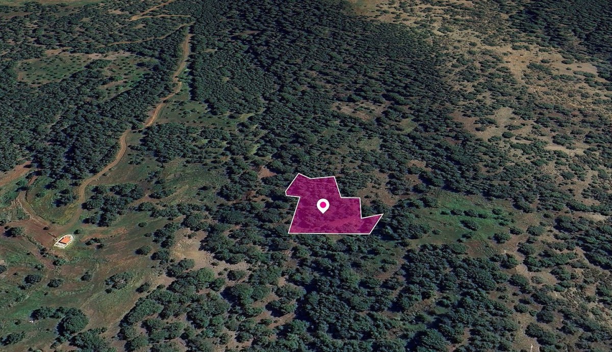 Pomos, Paphos Agricultural Land For Sale | DT1268