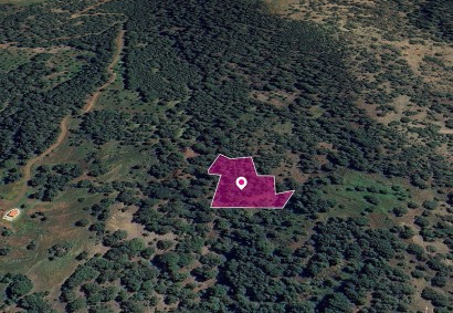 Pomos, Paphos Agricultural Land For Sale | DT1268