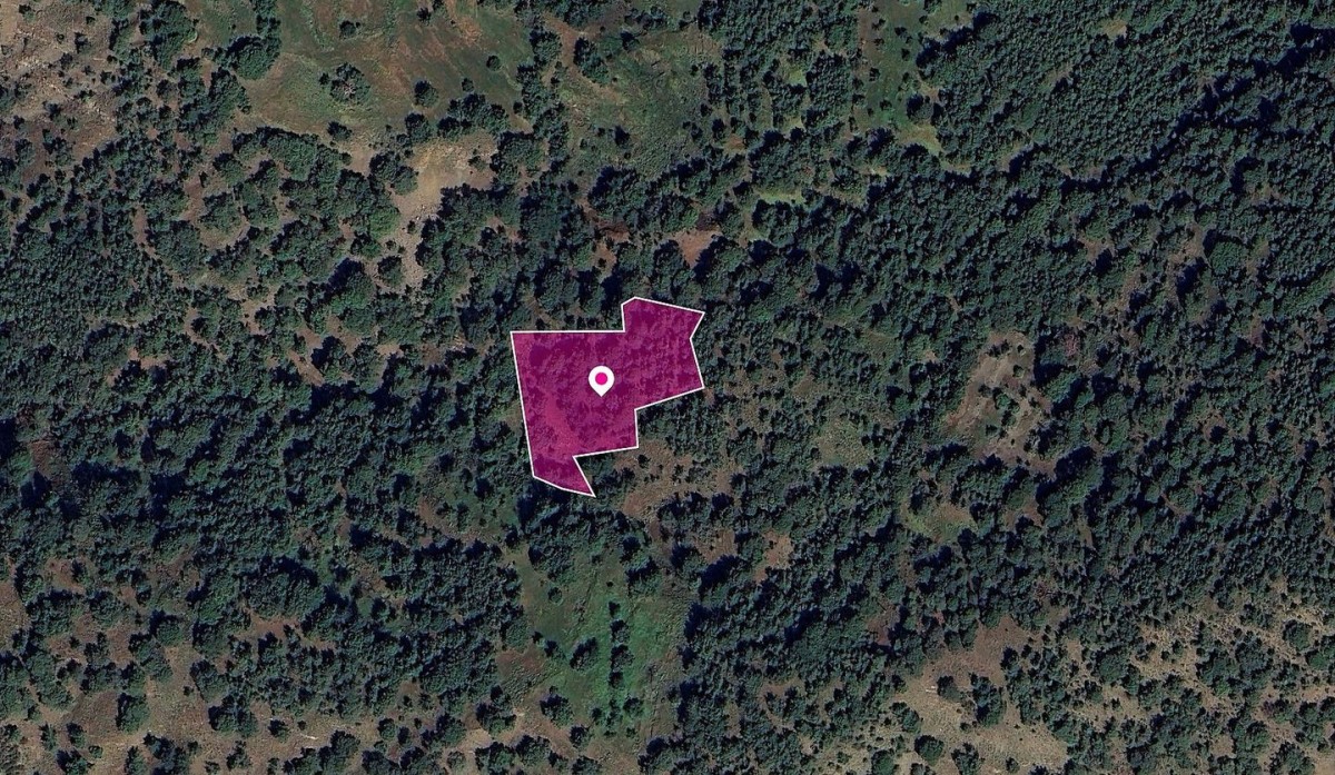 Special Protection field, Pomos, Paphos