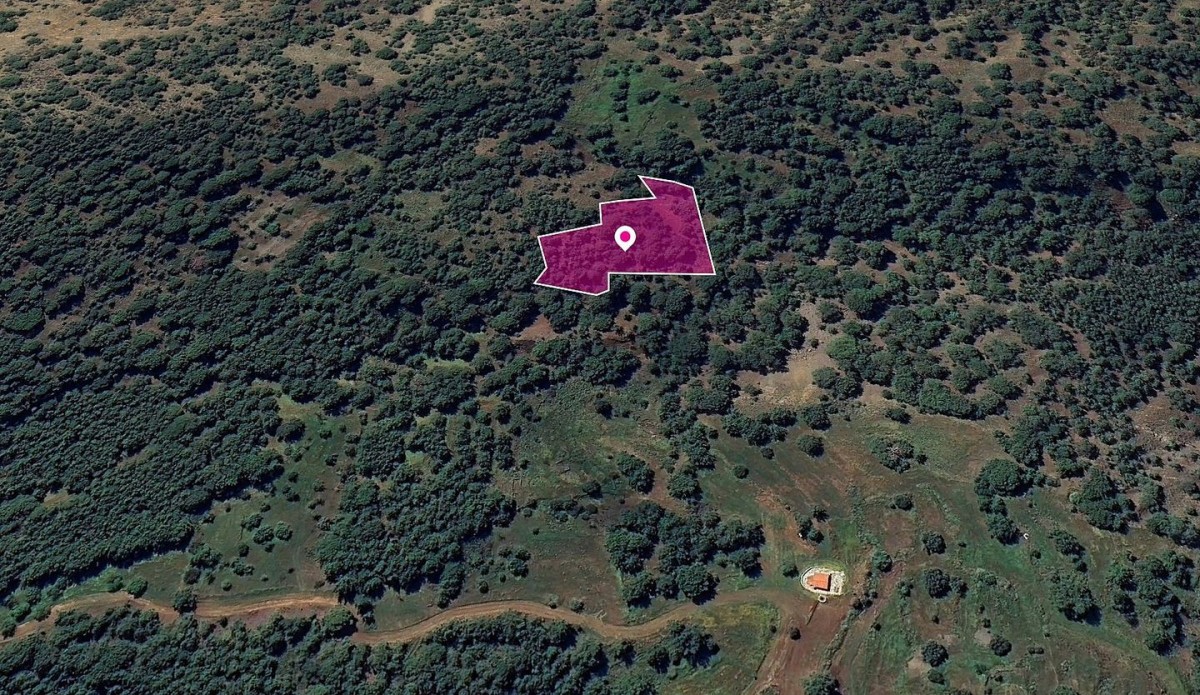 Special Protection field, Pomos, Paphos