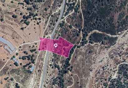 Archimandrita, Paphos Agricultural Land For Sale | DT1272