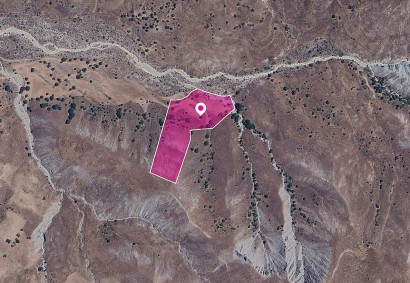 Kelokedara, Paphos Agricultural Land For Sale | DT1273