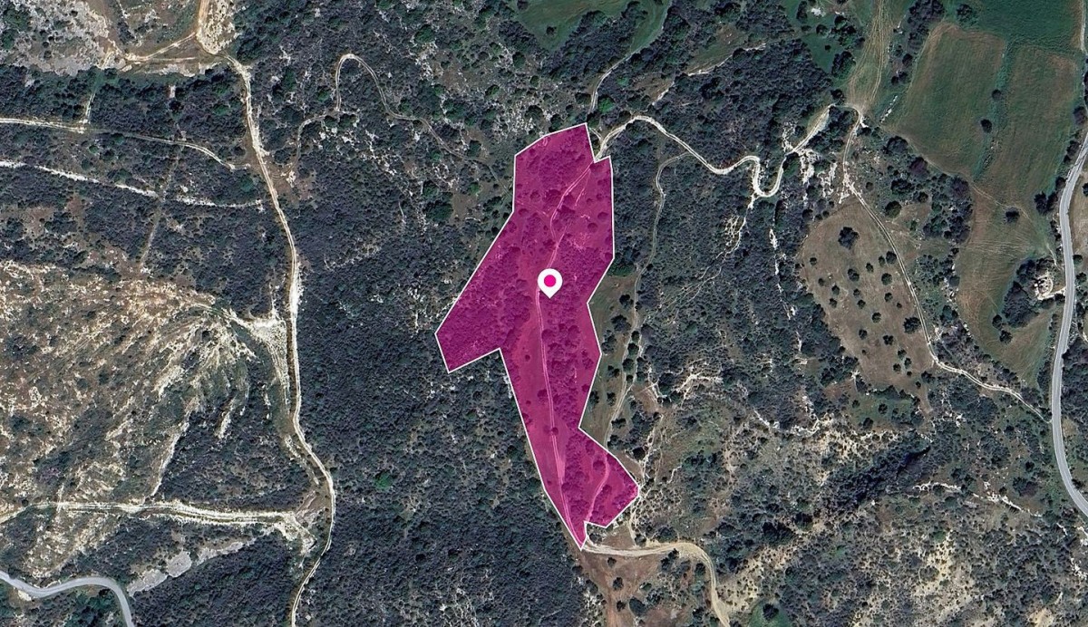 Agios Isidoros, Paphos Agricultural Land For Sale | DT1277
