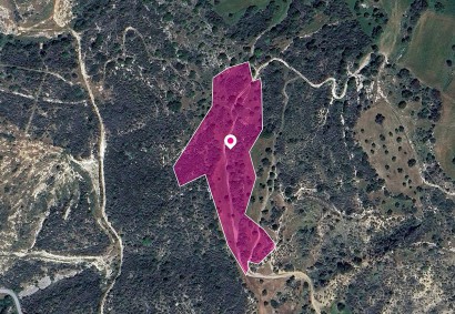 Agios Isidoros, Paphos Agricultural Land For Sale | DT1277