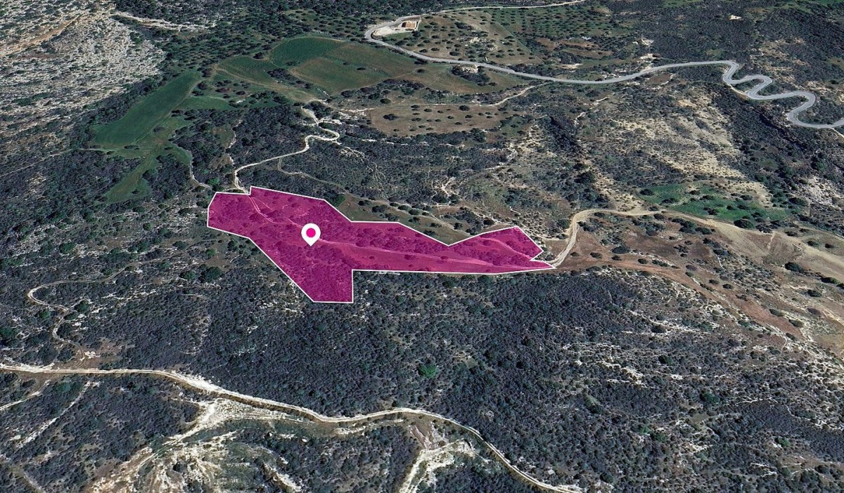 Field, Agios Isidoros, Paphos
