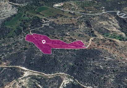 Agios Isidoros, Paphos Agricultural Land For Sale | DT1277