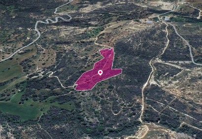Agios Isidoros, Paphos Agricultural Land For Sale | DT1277