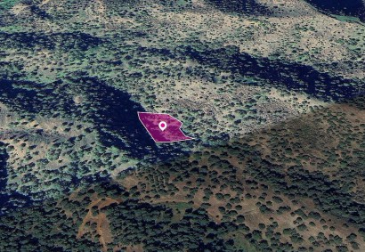 Pomos, Paphos Agricultural Land For Sale | DT1281