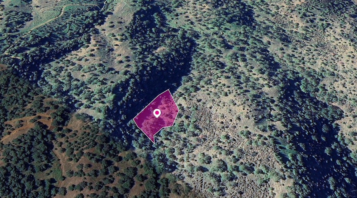 Agricultural Field, Pomos, Paphos