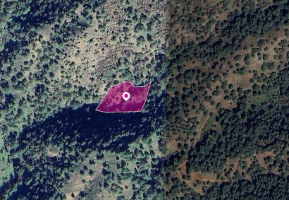 Pomos, Paphos Agricultural Land For Sale | DT1281
