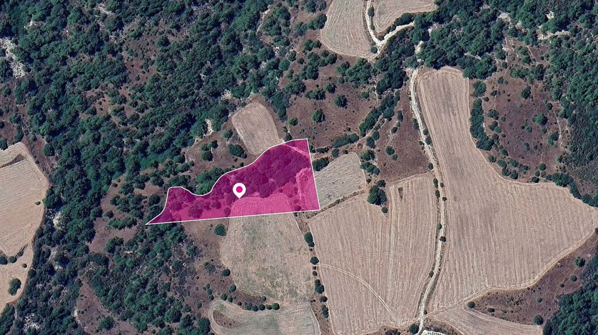 Mousere, Paphos Agricultural Land For Sale | DT1282