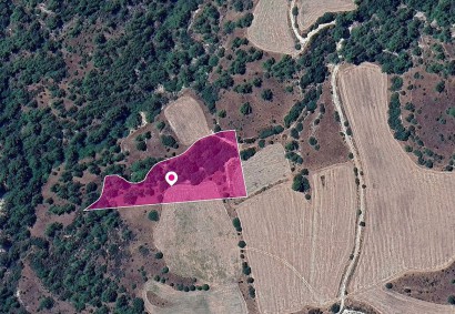 Mousere, Paphos Agricultural Land For Sale | DT1282