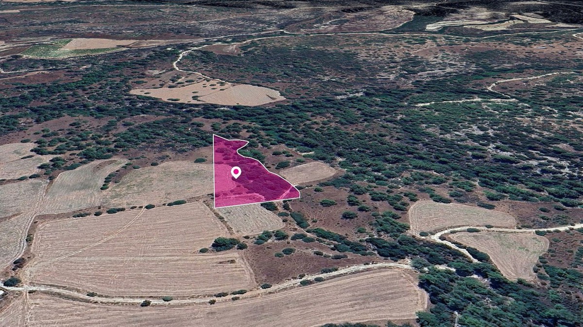 Field in Mousere, Paphos