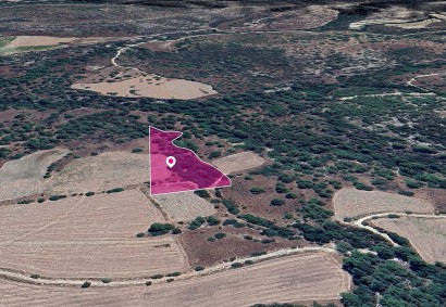 Mousere, Paphos Agricultural Land For Sale | DT1282