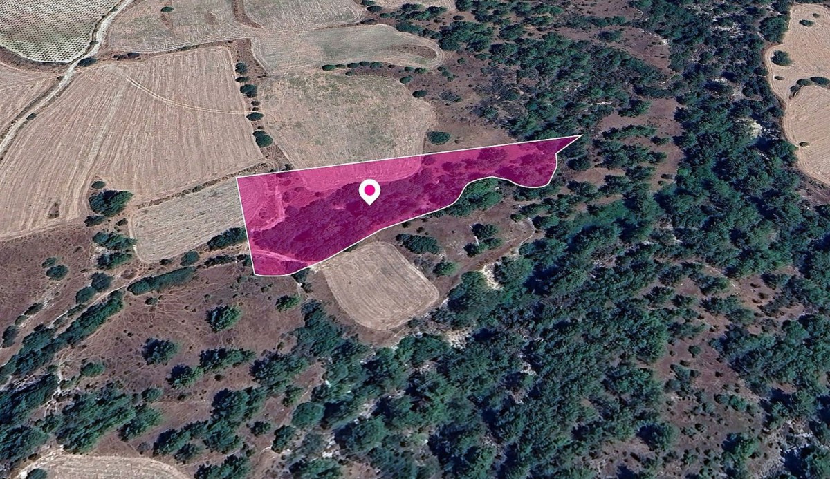 Field in Mousere, Paphos