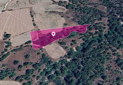 Mousere, Paphos Agricultural Land For Sale | DT1282