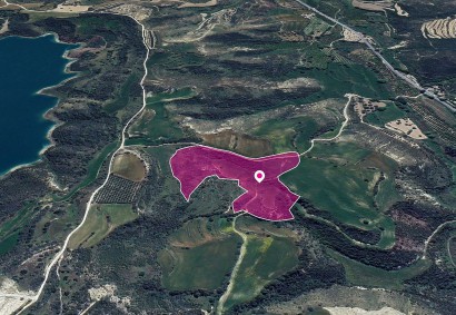 Akourdaleia Kato Agricultural Land For Sale | DT1287
