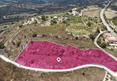 Tsada, Paphos Agricultural Land For Sale | DT1294