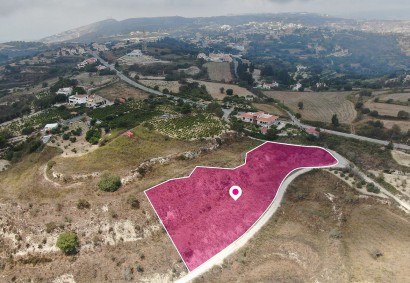 Tsada, Paphos Agricultural Land For Sale | DT1294