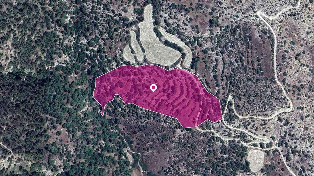 Amargeti, Paphos Agricultural Land For Sale | DT1298