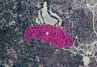 Amargeti, Paphos Agricultural Land For Sale | DT1298