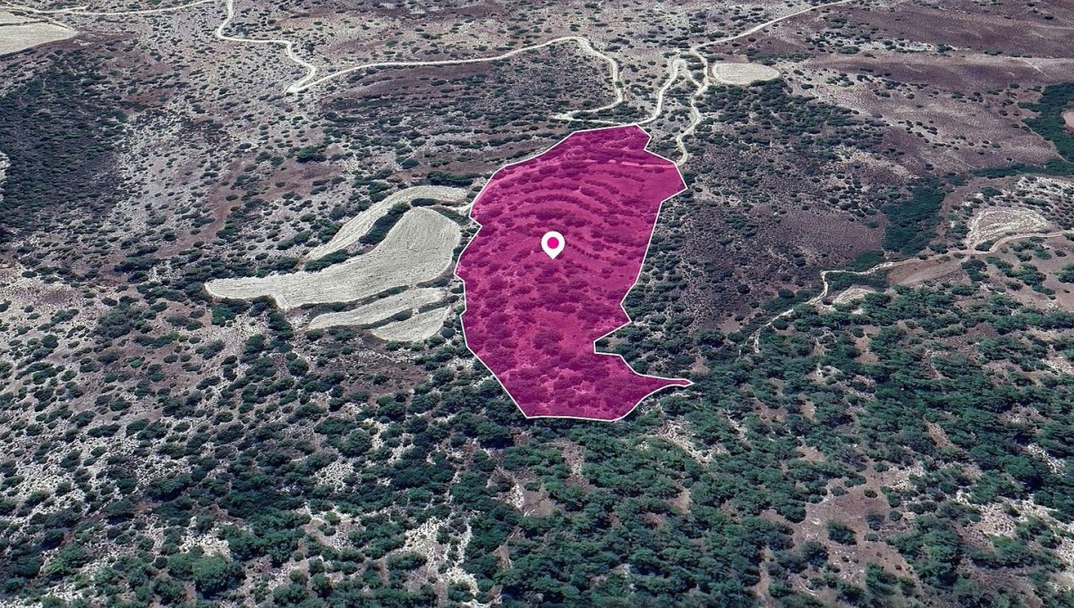 Field, Amargeti, Paphos