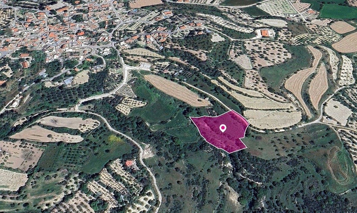 Field, Kallepeia, Paphos