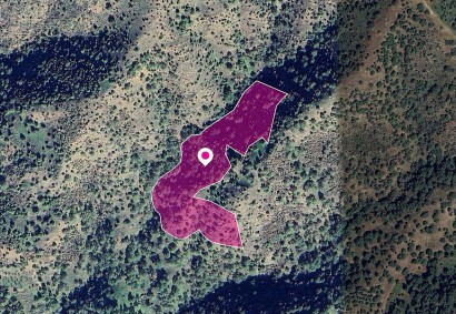 Pomos, Paphos Agricultural Land For Sale | DT1306