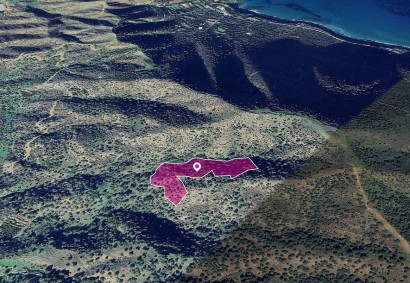 Pomos, Paphos Agricultural Land For Sale | DT1306
