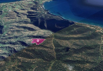 Pomos, Paphos Agricultural Land For Sale | DT1307