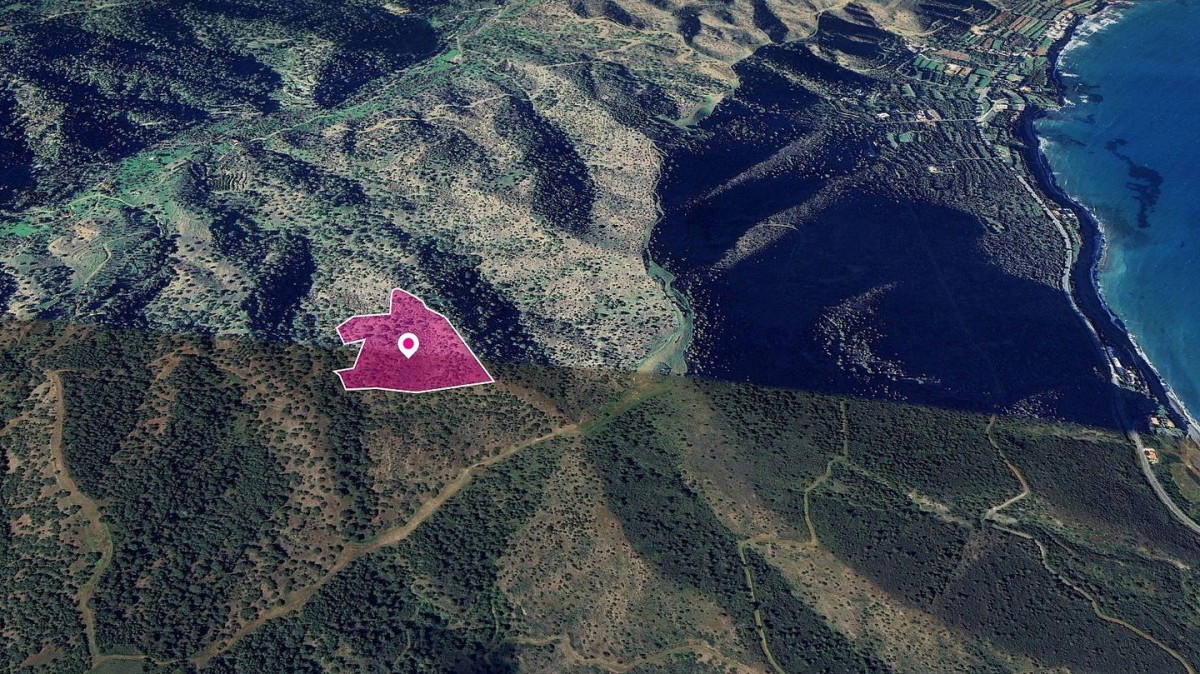 (Share) Field, Pomos, Paphos
